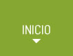 Inicio